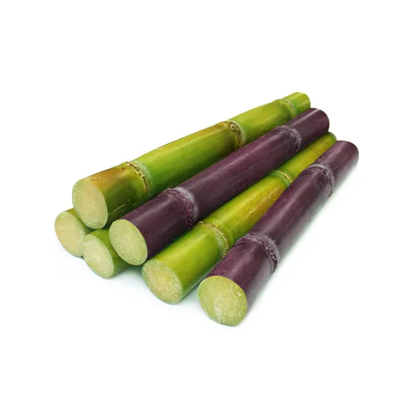 Sugarcane