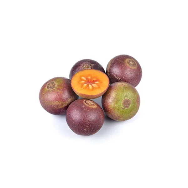 Uguressa